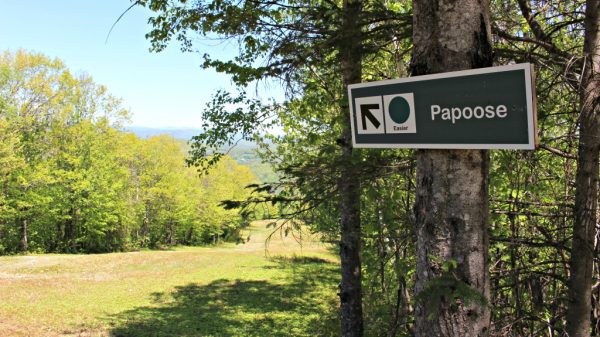 Papoose Ski Slope Hike