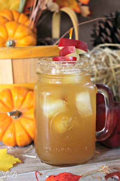 Spiked Apple Cider Mocktail Recipe